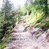 Malga Loverdina - 2007